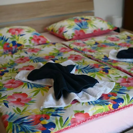 House House Lola *